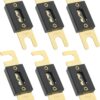6 Pieces ANL Fuse,300 Amp Fuse,100 Amp ANL Fuse,Car Accessories,32V Gold Plated ANL Fuses,ANL Blade Inline Fuse,Used for Inverters and Car Audio and Other High Current Applications (100Amp)