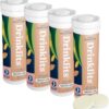 Drinklits Ginger-Lime Daily Hydration Tablets with Organic Ginger – 0g Sugar – Travel Essential Electrolytes (40 Count – Pack of 4)