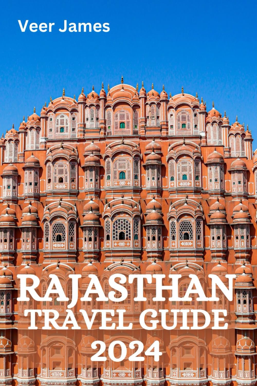RAJASTHAN-TRAVEL-GUIDE-2024.jpg