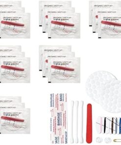 World Amenities Necessities Grooming Vanity Kit | Clear Frosted Sachet, Hotel Amenities | Includes Sewing Kit, Nail File, Cotton Swabs, 2 Cotton Rounds and Band-Aid