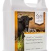 UltraCruz Livestock Foaming Shampoo, 1 Gallon Refill