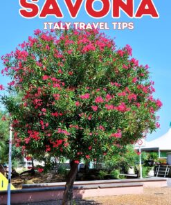 Savona Italy Travel Tips: Discover the most up-to-date and amazing places to sleep, eat, and shop in the Liguria region (Savona), along with essential … the city (Budget-Friendly Cities in Europe)