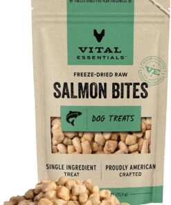 Vital Essentials Freeze Dried Raw Salmon Bites Dog Treats, 2.5 oz | Premium Quality High Protein Training Treats | Grain Free, Gluten Free, Filler Free