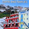 CAPRI AND NAPLES TRAVEL GUIDE 2024: The Fusion of Italian Culture and Creativity, Heritage, and Leisure Harmony (Christian David’s travel guides)