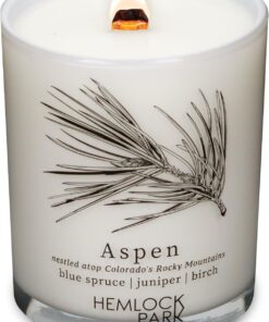 Hemlock Park Travel Inspired Passport Crackling Wood Wick Candle Handcrafted with Natural Plant-Based Coconut Wax (Aspen | Blue Spruce, Juniper, Birch, Standard 7.2 oz)