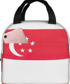 Singapore Flag Print Lunch Tote Bag Adult Insulated Tote Bags Work Travel Outdoor Daily Use
