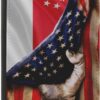 america and Singapore Singaporean Flag Passport Holder Cover Wallet Case Novelty PU Leather with Card Slot Travel Accessories Protector for Women Men