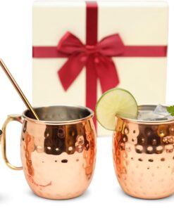 [Gift Set] Moscow Mule Mugs, Stainless Steel Lined Copper Moscow Mule Cups Set of 2 (19 OZ) w/ 2 Straws & 1 Jigger | Tarnish-Resistant Stainless Steel Interior