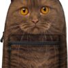 JeremySport Toddler Backpack Boys, 15 Inch Kids Backpack for Preschool,Cat Brown
