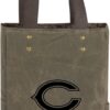 PICNIC TIME NFL 2 Bottle Insulated Wine Cooler Bag